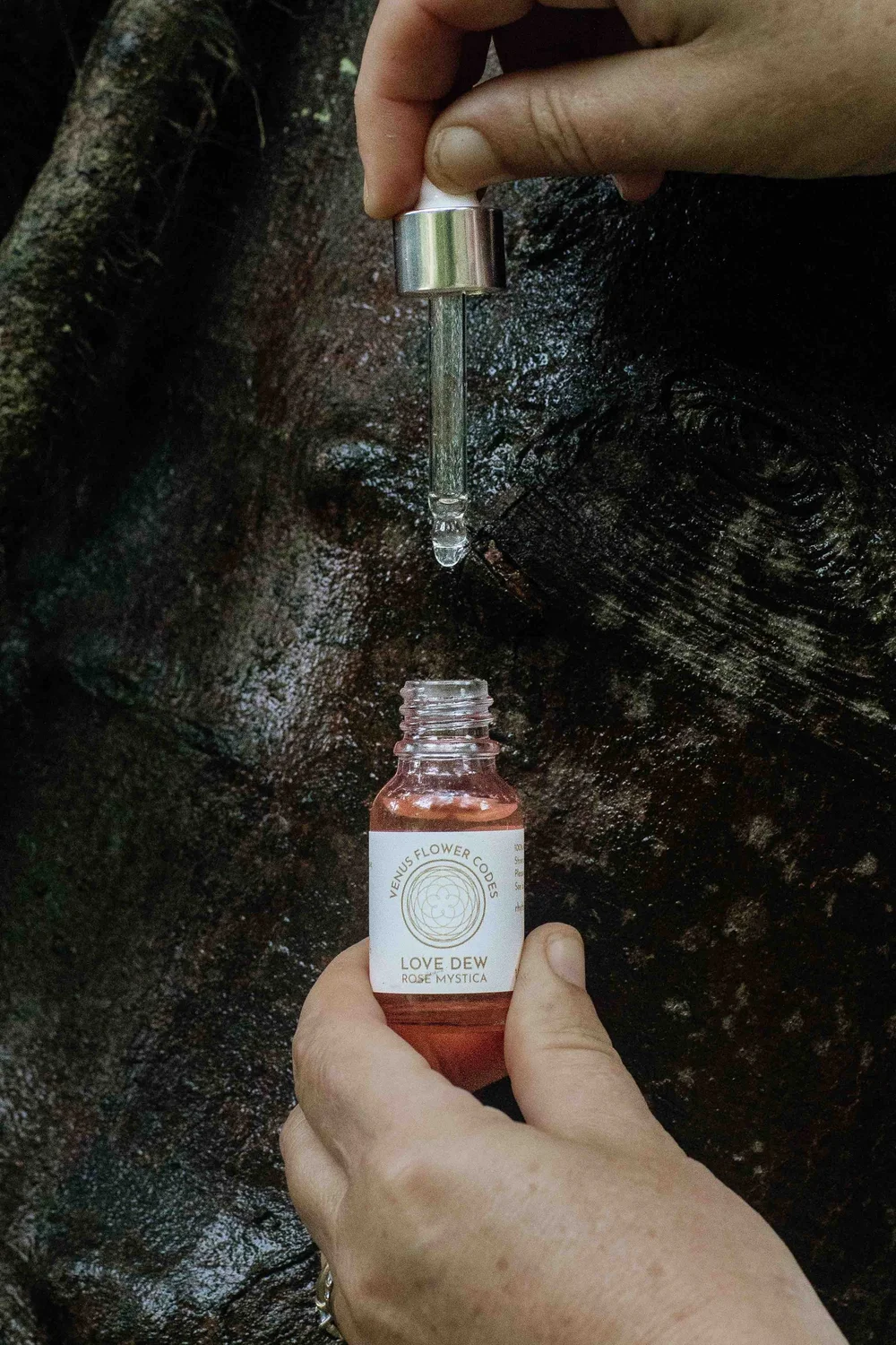 ブースター・導入液 Essence of DewRose Essence of DewRose 予約販売】Essence of DewRose | Dew Rose